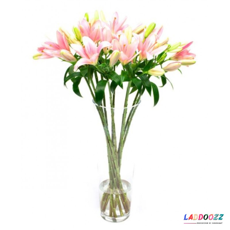 Pink Asiatic Lilies for Home or Office